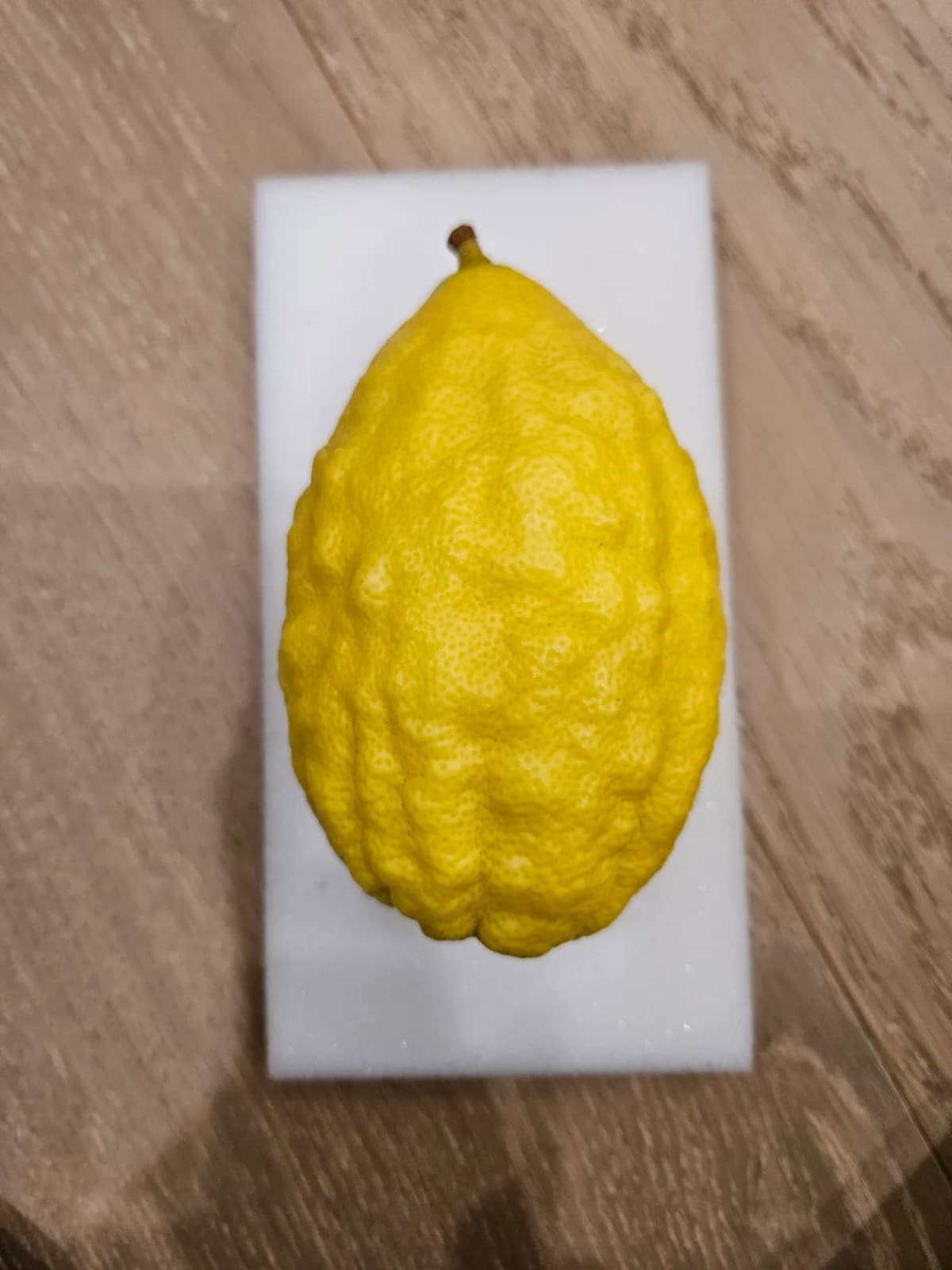 Israeli Etrog I025