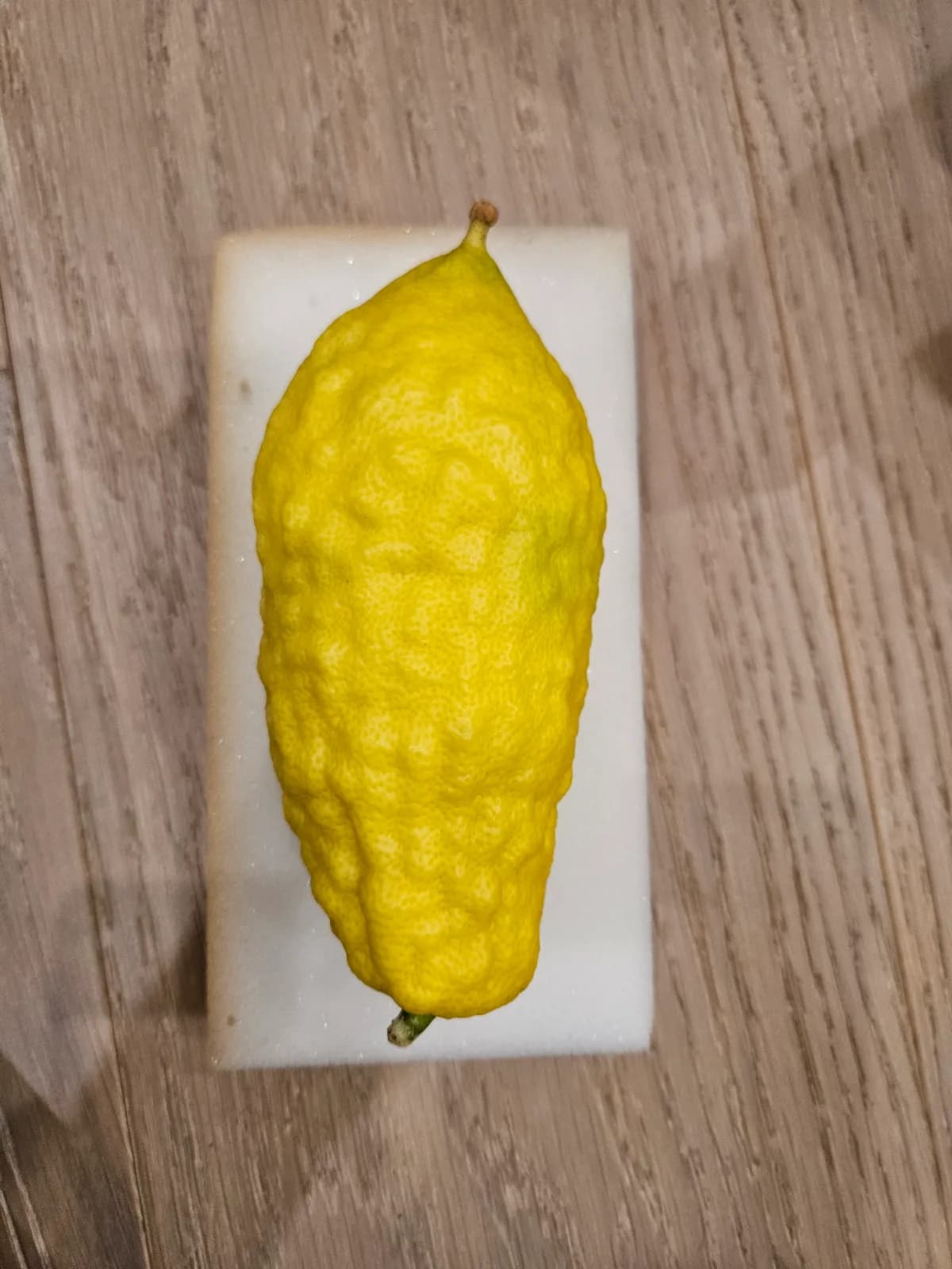 Israeli Etrog I010