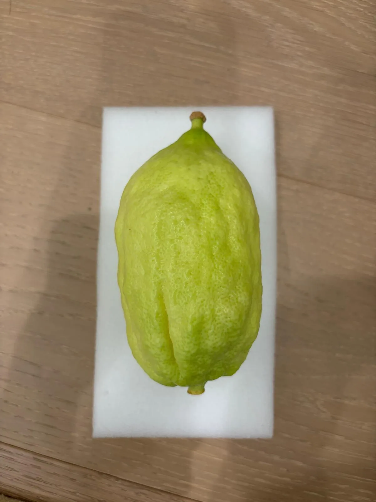 Moroccan Etrog M023