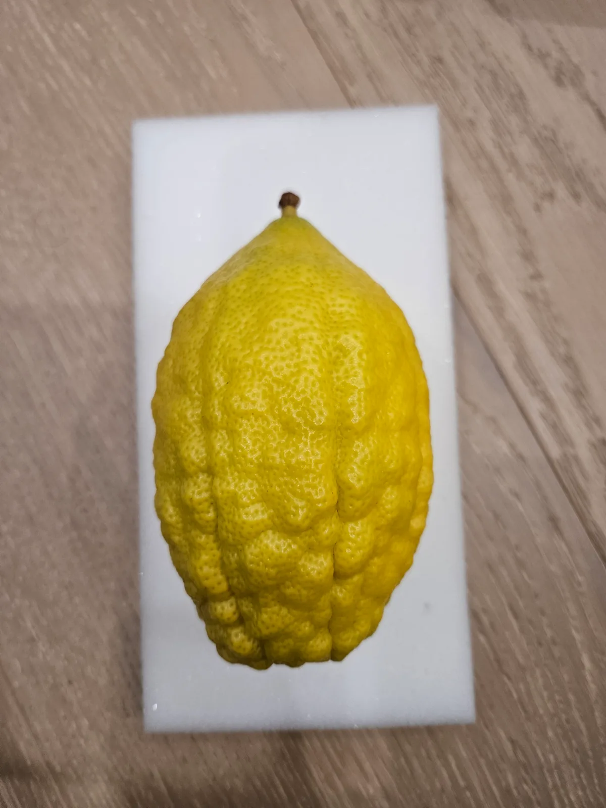 Israeli Etrog I027