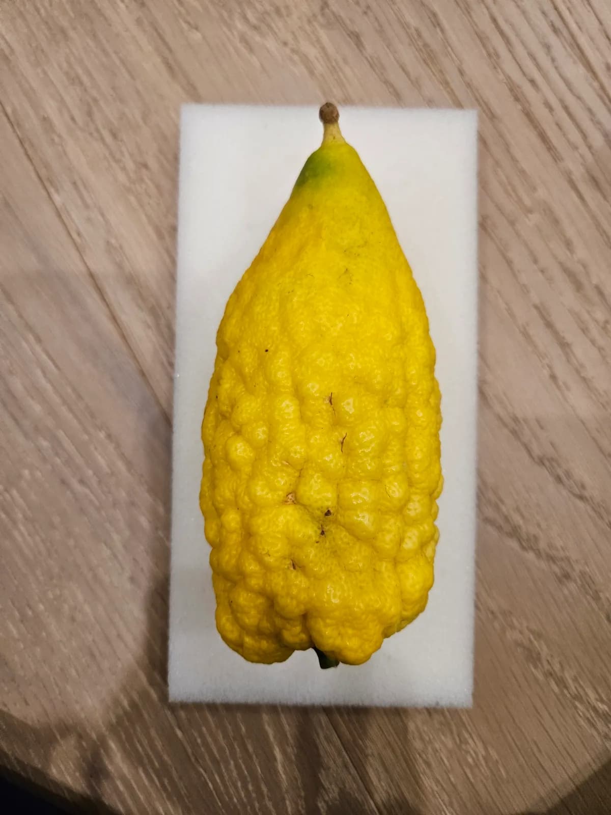 Israeli Etrog I042