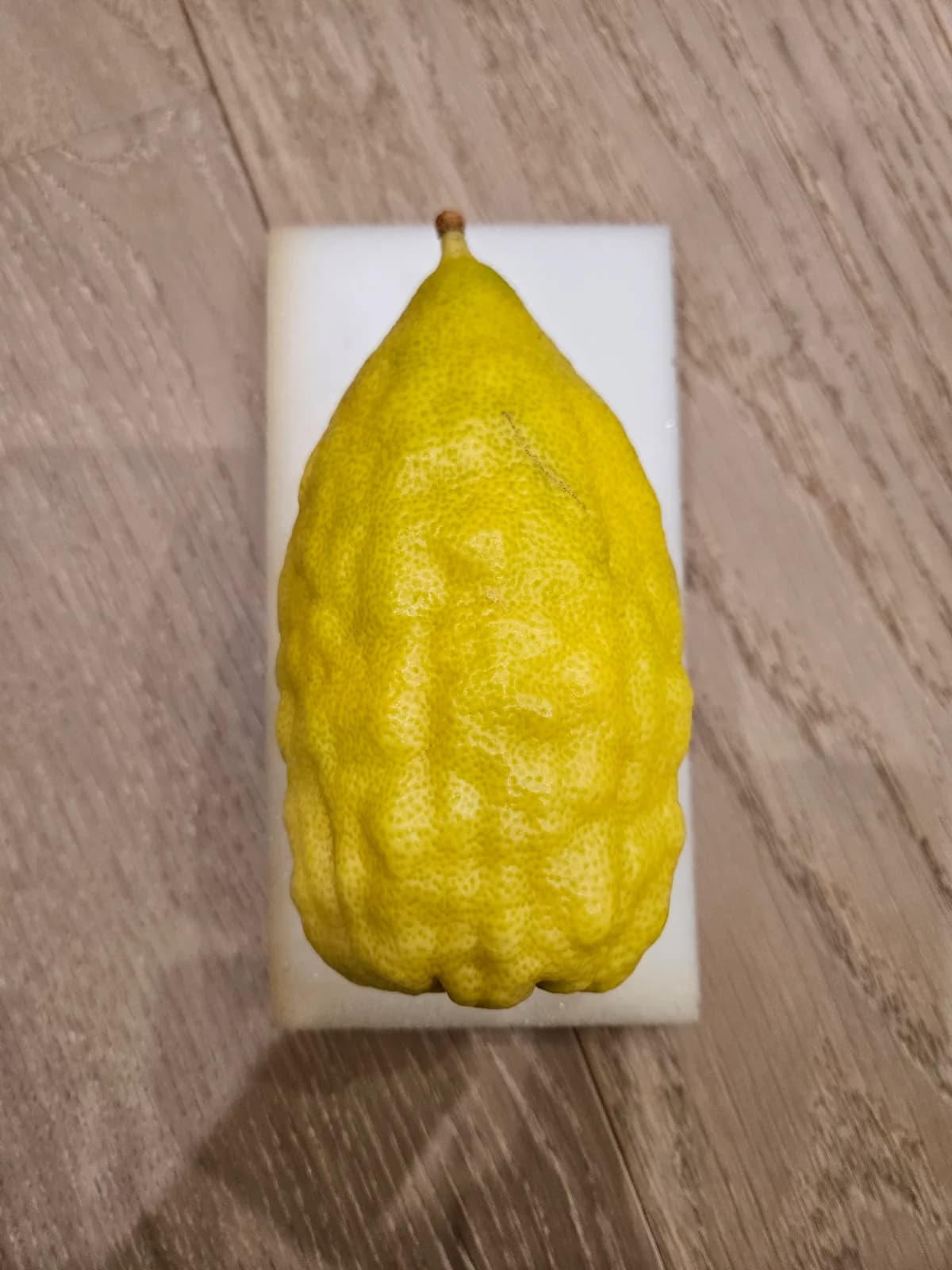 Israeli Etrog I048