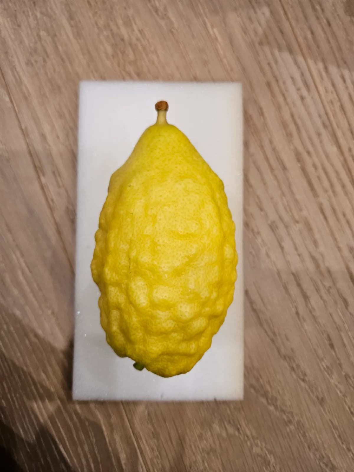 Israeli Etrog I015