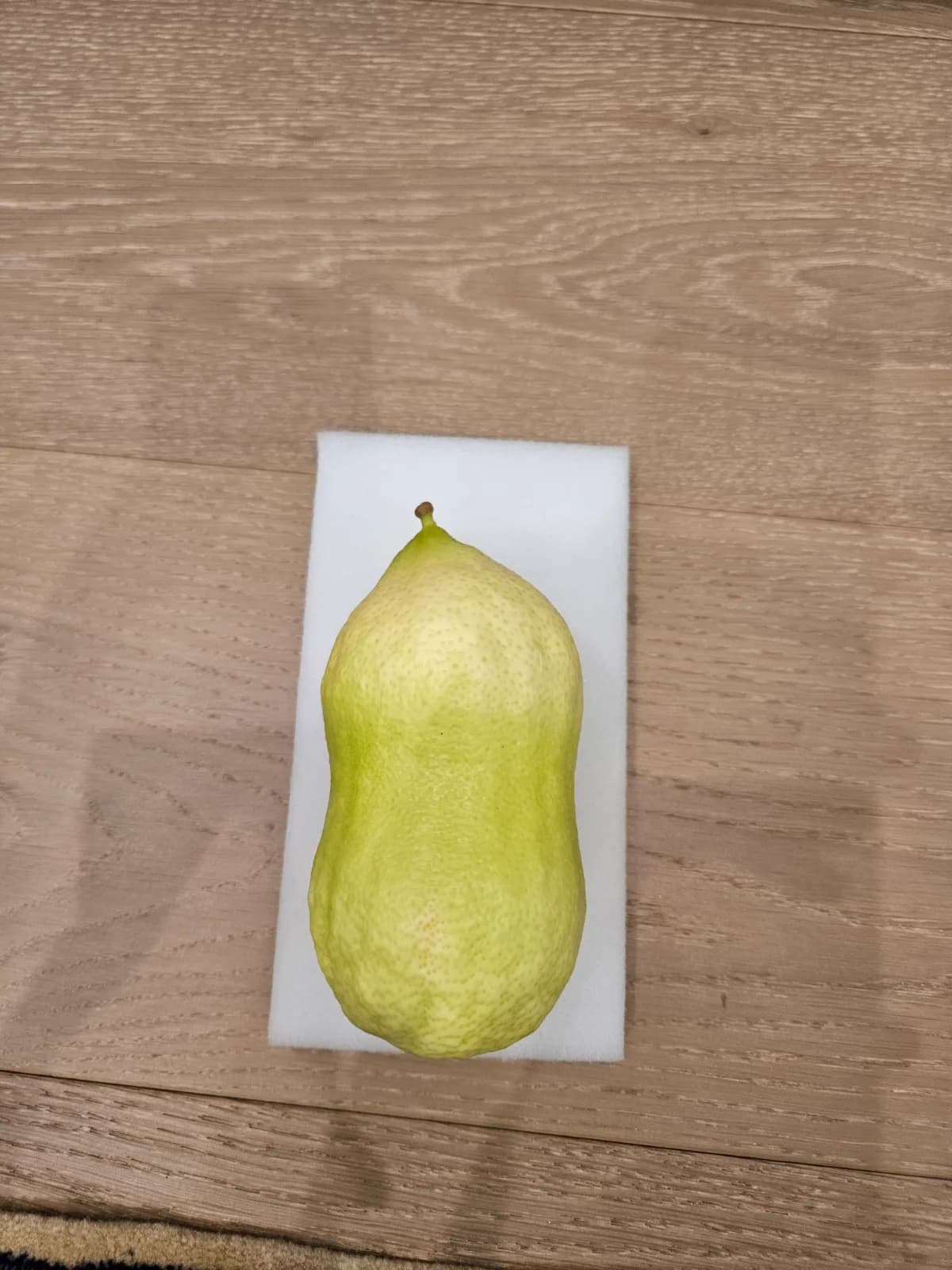 Moroccan Etrog M016