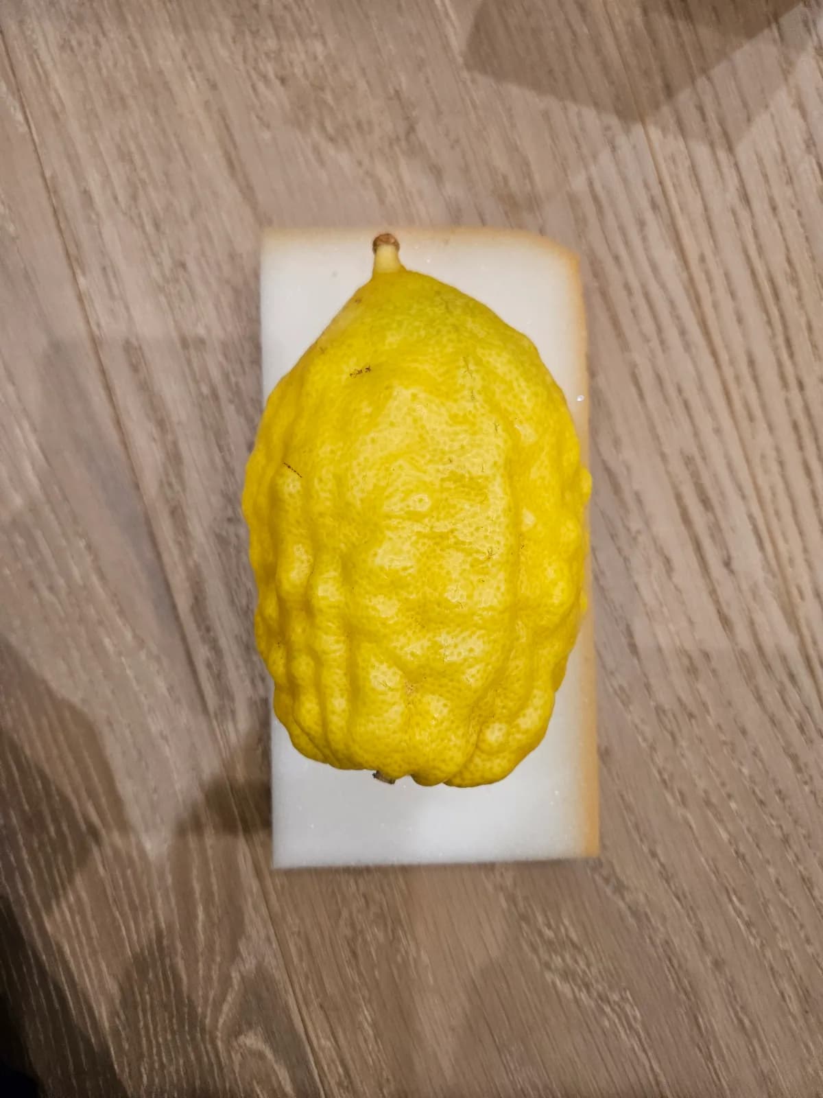 Israeli Etrog I020