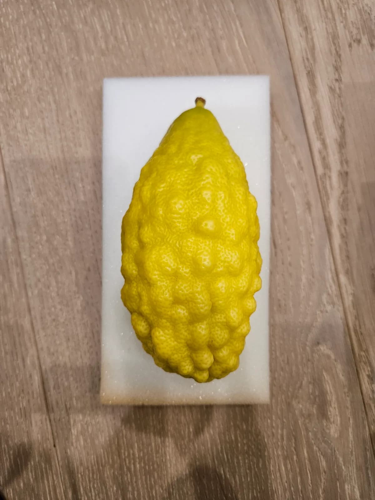 Israeli Etrog I037