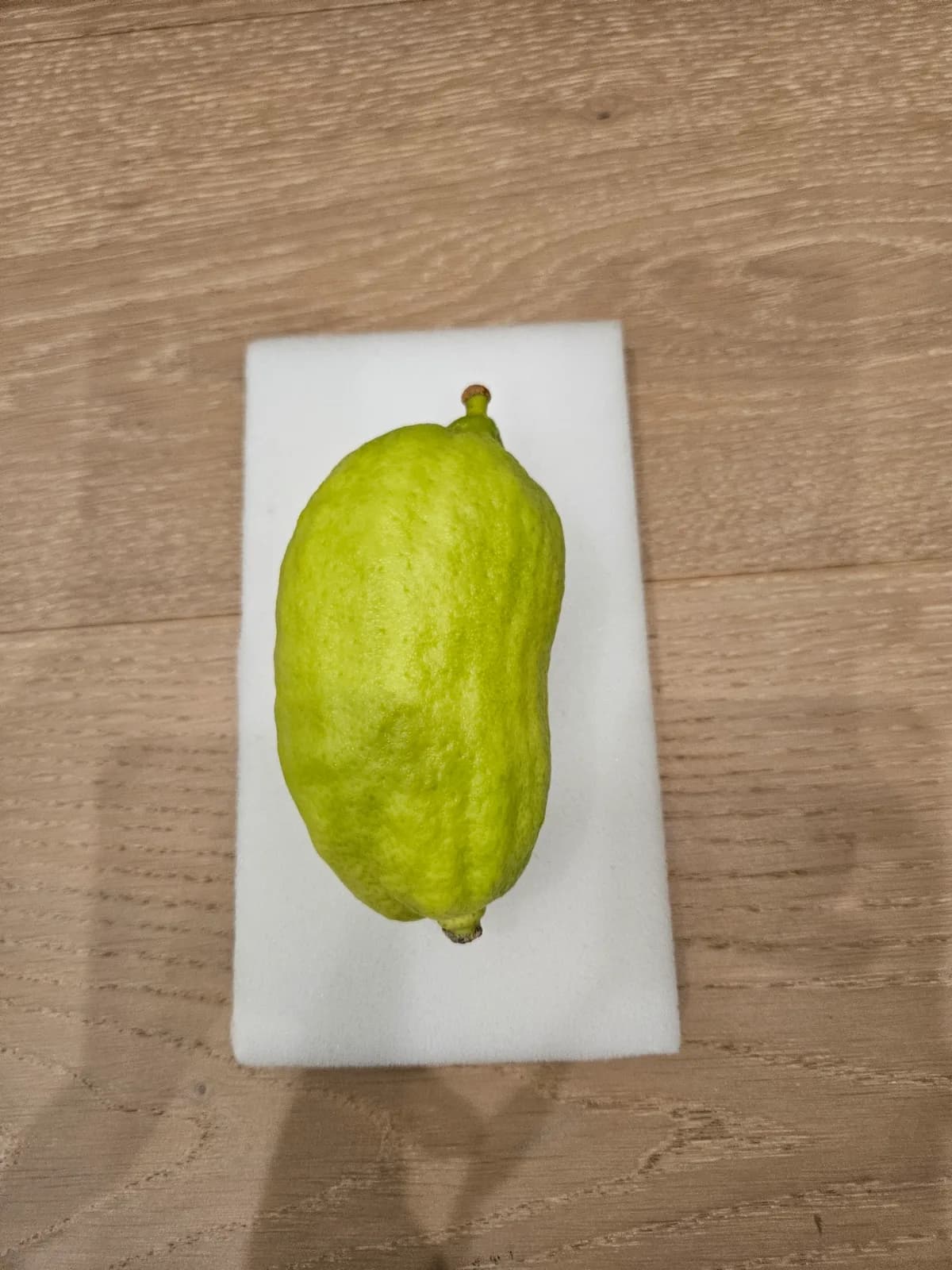 Moroccan Etrog M018