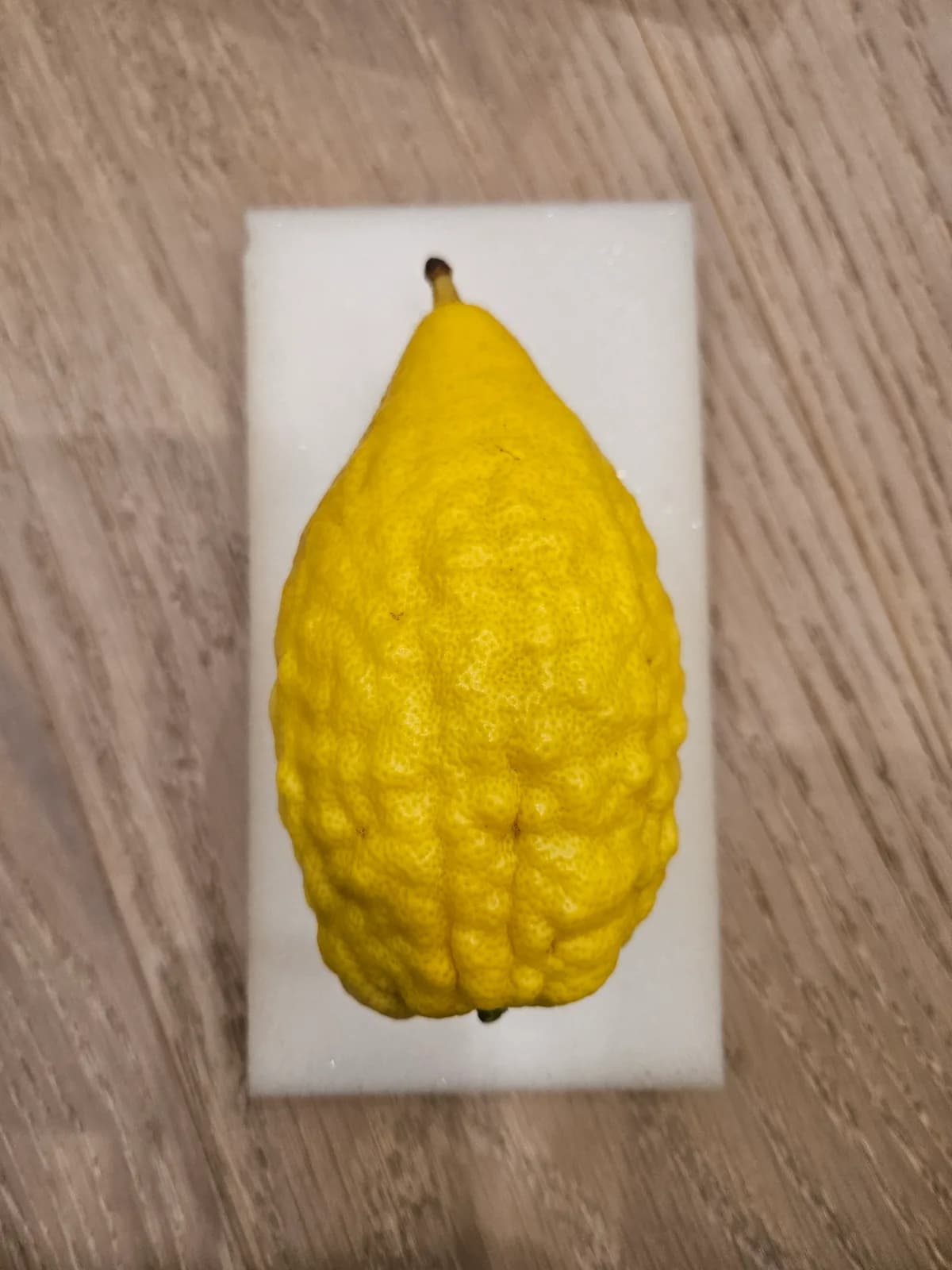 Israeli Etrog I039