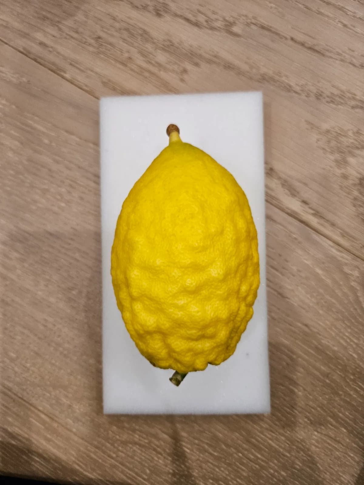 Israeli Etrog I026