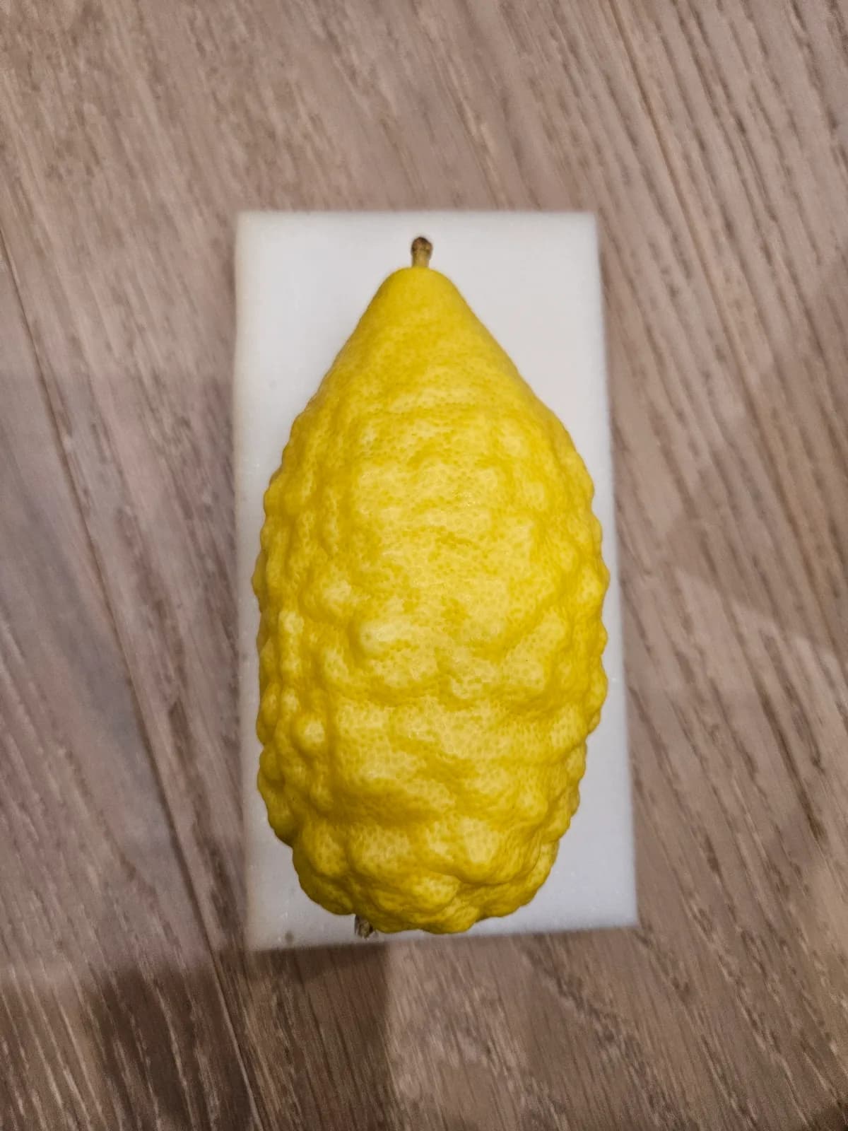 Israeli Etrog I043