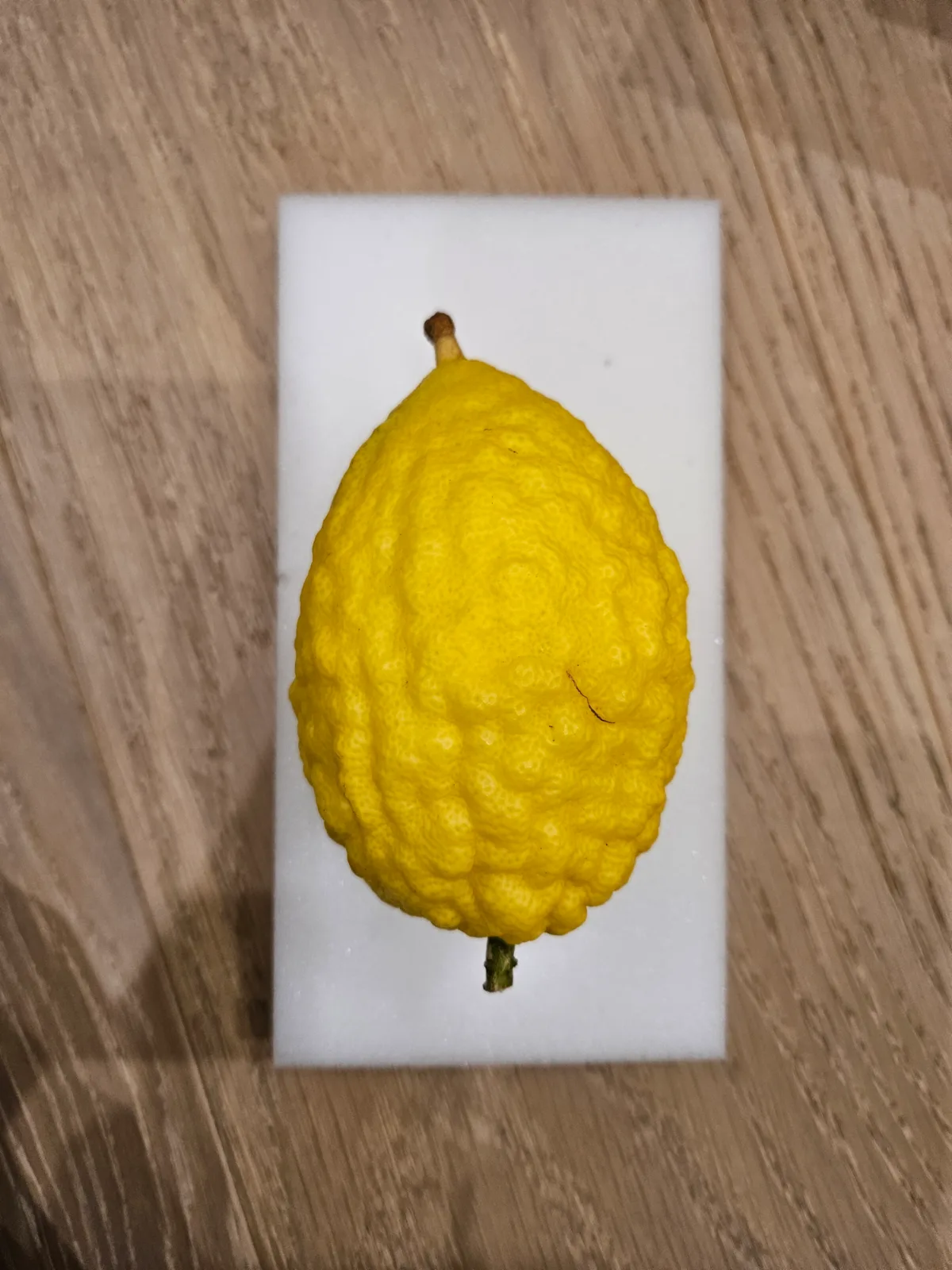 Israeli Etrog I014