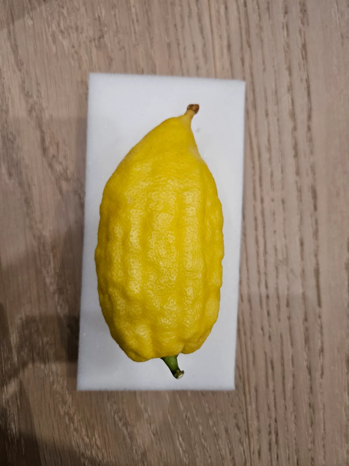 Israeli Etrog I012
